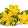 Fleurs de Millepertuis, huile végétale de Millepertuis, St. John's wort : Coups de soleil, Brûlures
